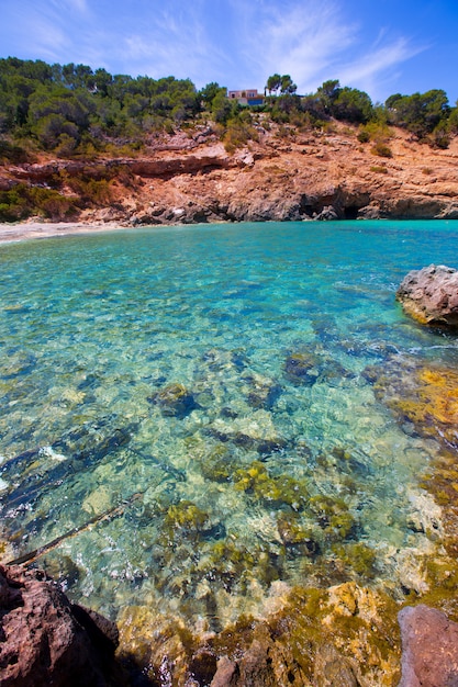 Ibiza Cala Moli Strand mit klarem Wasser auf Balearen