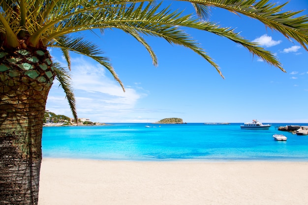 Foto ibiza playa de patja des canar con aguas turquesas.