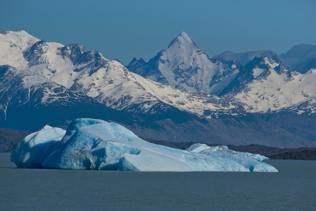 Iceberg flotando en el lago Argentino