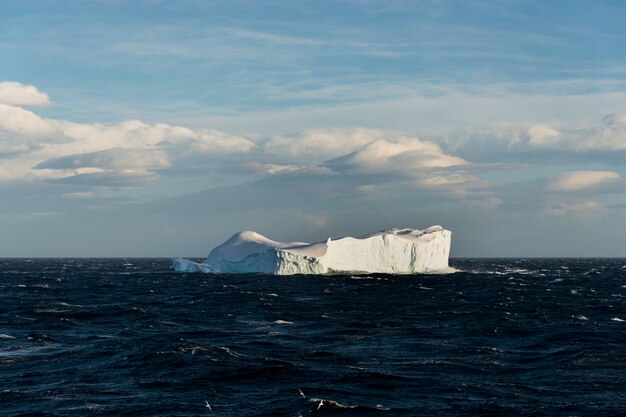 Foto iceberg en el mar