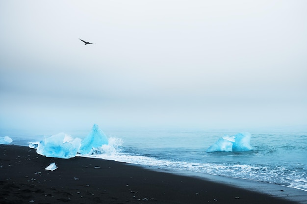 Foto icebergs azuis na costa do oceano atlântico, jokulsarlon, sul da islândia