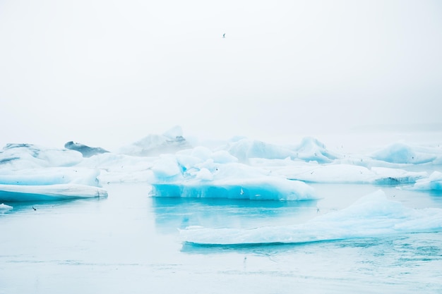 Icebergs azules en la laguna glaciar Jokulsarlon, en el sur de Islandia