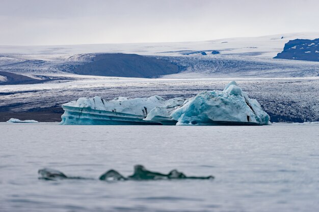 Icebergs flotantes en la laguna glaciar Jokulsarlon, Islandia.