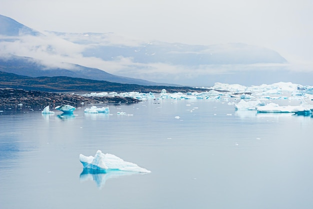 Icebergs na costa do Oceano Atlântico na manhã nevoenta Saqqaq vila Groenlândia