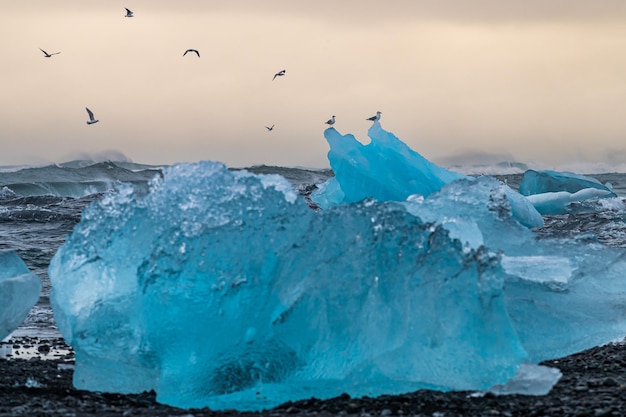 Icebergs provenientes de Vatnajokull ubicado en Diamond Beach cerca de Jokulsarlon en el sur de Islandia