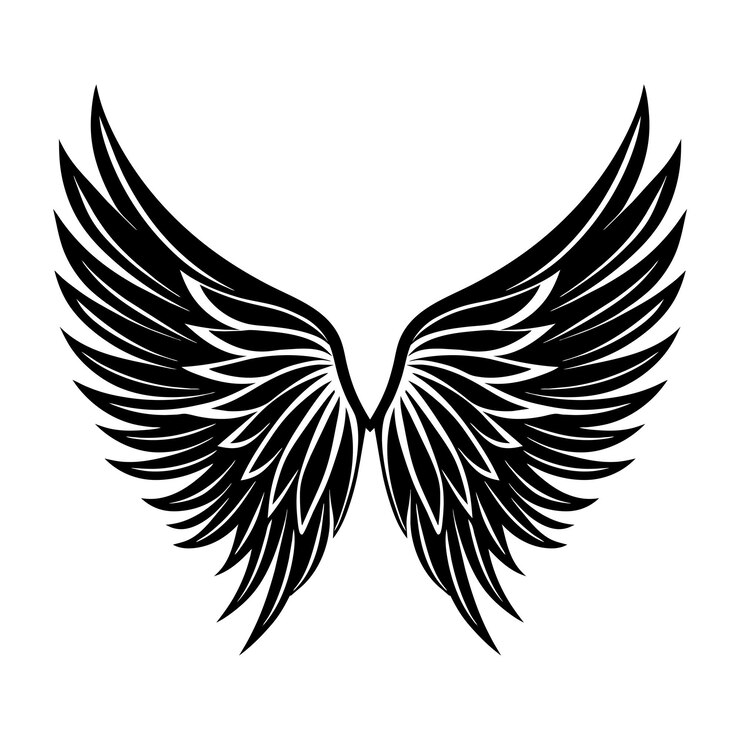 Foto ícone de asas pretas logotipo de asas de anjos sinal de penas vetoriais desenho bonito isolado em branco