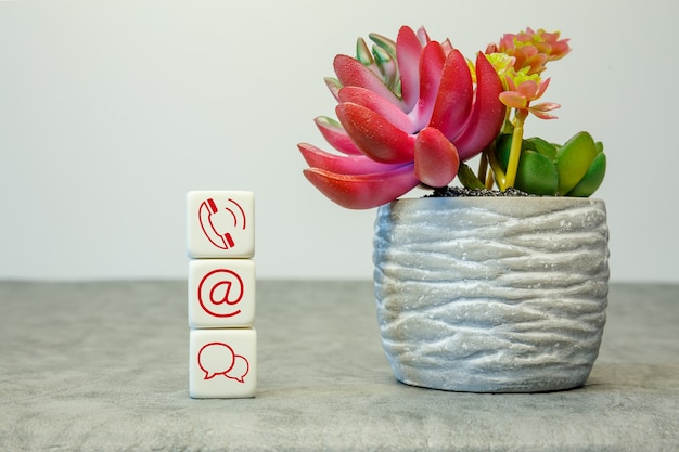 Foto Ícones de contato do site e da internet em cubos com uma flor em um fundo branco