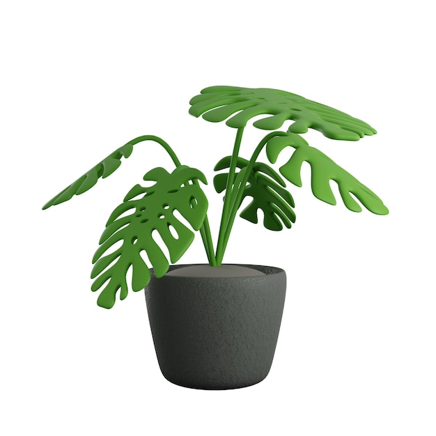 Foto Ícono 3d de monstera