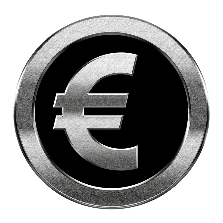 Ícono del euro en plata