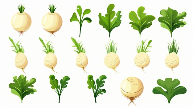 Icono vectorial de dibujos animados de verduras de renacuajo Ilustración de alimento Icono de naturaleza Concepto de vector premium aislado