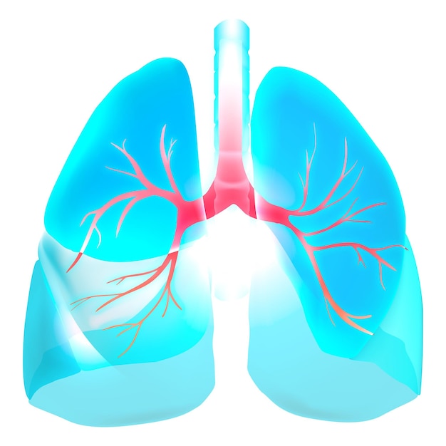 Iconos de pulmones png clipart para el sistema respiratorio atención médica inteligente