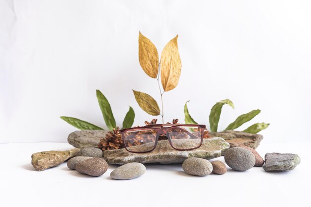 Idea de concepto minimalista. Gafas cuadradas en piedra, hojas verdes y flores de pino sobre fondo blanco.