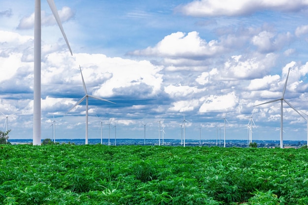 Idea progresista de utilizar el viento para la energía eléctrica por parque de turbinas eólicas