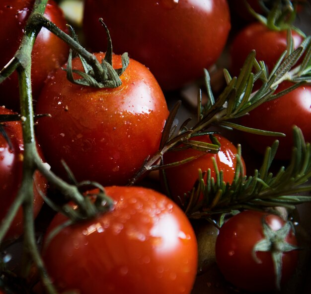 Idea de la receta de fotografía de comida de romero tomates