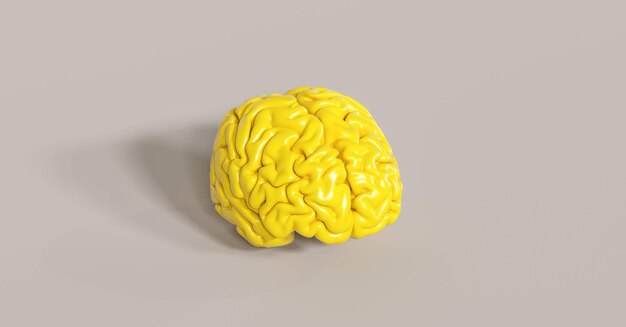 Ideal für Website- und Zeitschriftenlayouts und -designs in Unternehmen