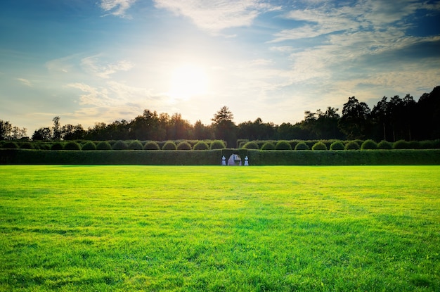 Idealer Hintergrund für die Gartenrasenlandschaft