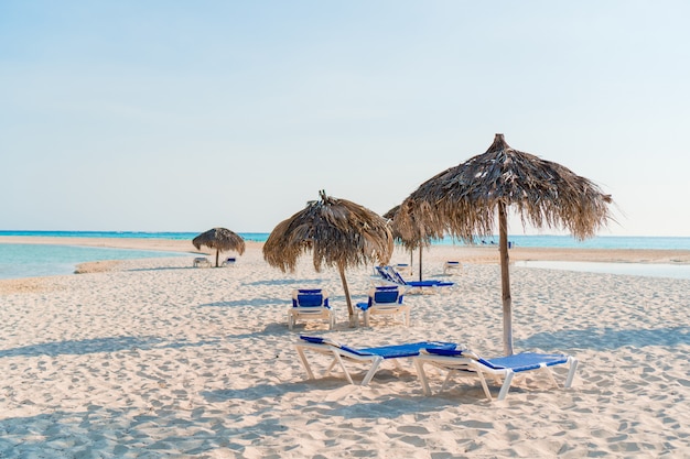 Idílica praia tropical com areia branca, água azul-turquesa do oceano e grandes palmeiras