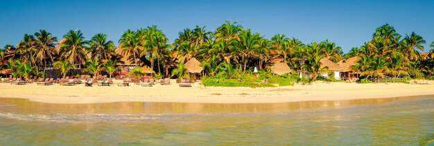 Idílica vista tranquila del paisaje de playa de verano con palmeras México