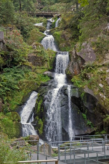 Foto las idílicas cataratas de triberg