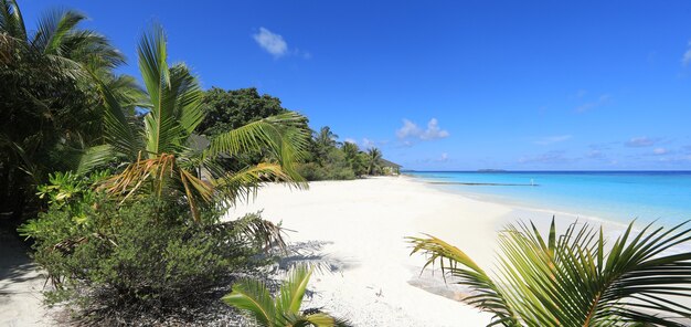 idílico paisaje marino azul soleado con cielo azul y nubes blancas