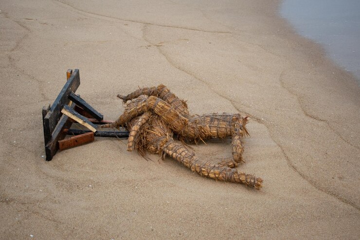 Ídolo roto en la orilla de la playa
