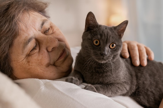 Idosos cuidam de gatos e se divertem em casa