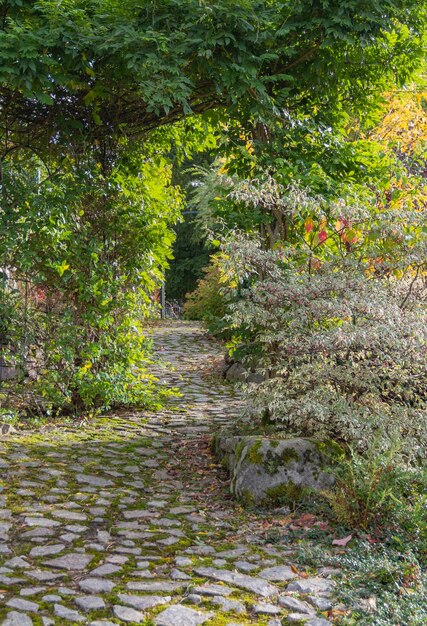 idyllische Gartenlandschaft