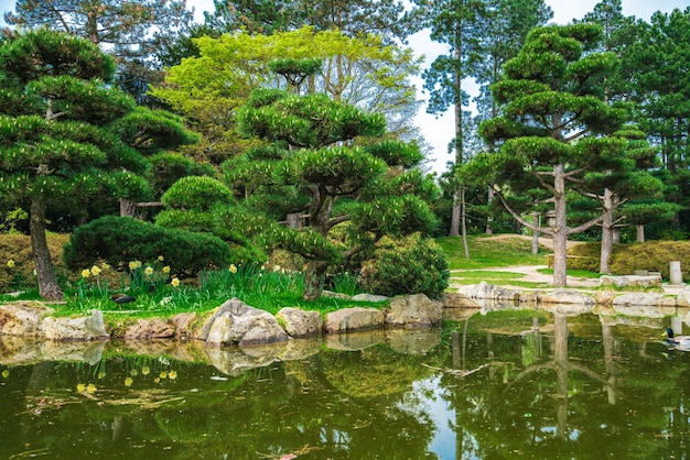 Idyllische Landschaft des japanischen Gartens Traditioneller japanischer Steingarten für Meditation