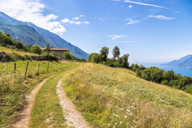 Idyllische Landschaft in den Bergen Trekkingpfad Wiesenwald und eine schöne Aussicht