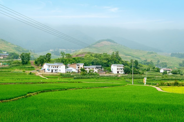 Idyllische Landschaft Reisterrassen im ländlichen China