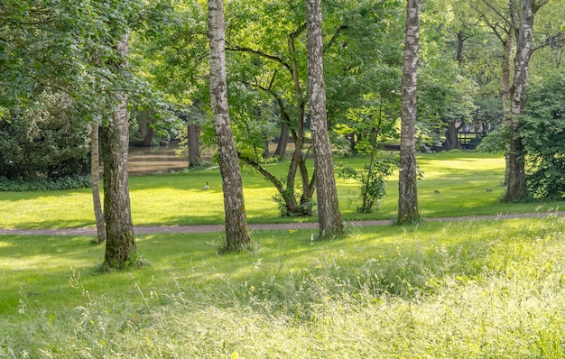 idyllische Parklandschaft