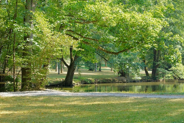 idyllische Parklandschaft