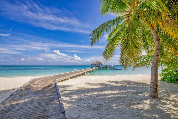 Idyllische tropische Strandlandschaft für Hintergrund oder Tapete. Hölzerner Pier, paradiesisches Inselufer