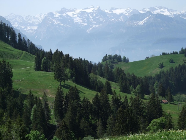Idyllischer Blick auf die grüne Landschaft