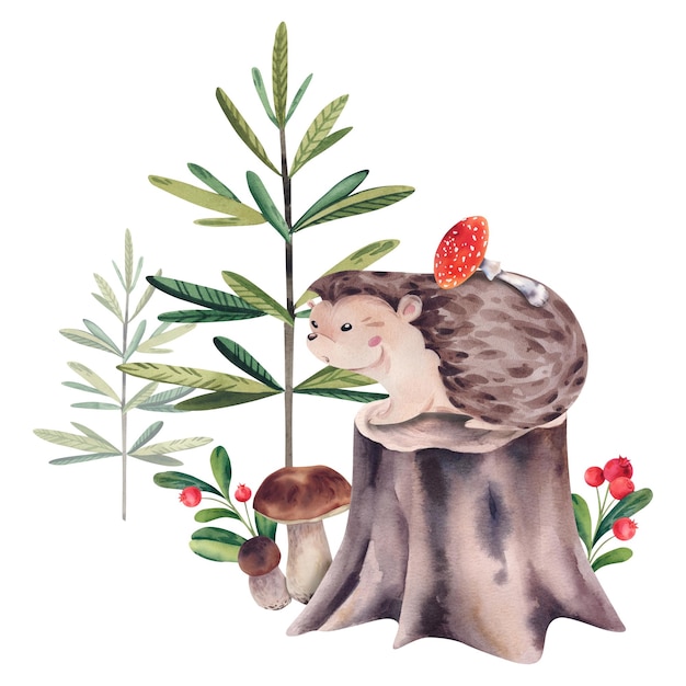Igel mit Fliegenagarik auf einem Stumpf zwischen Tannenbeeren und Porcini-Pilzen Aquarellillustration auf einem isolierten Hintergrund Waldtiere für Kinder Stachelige Figur