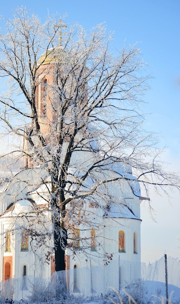 Iglesia alta con cruz detrás de un árbol en invierno