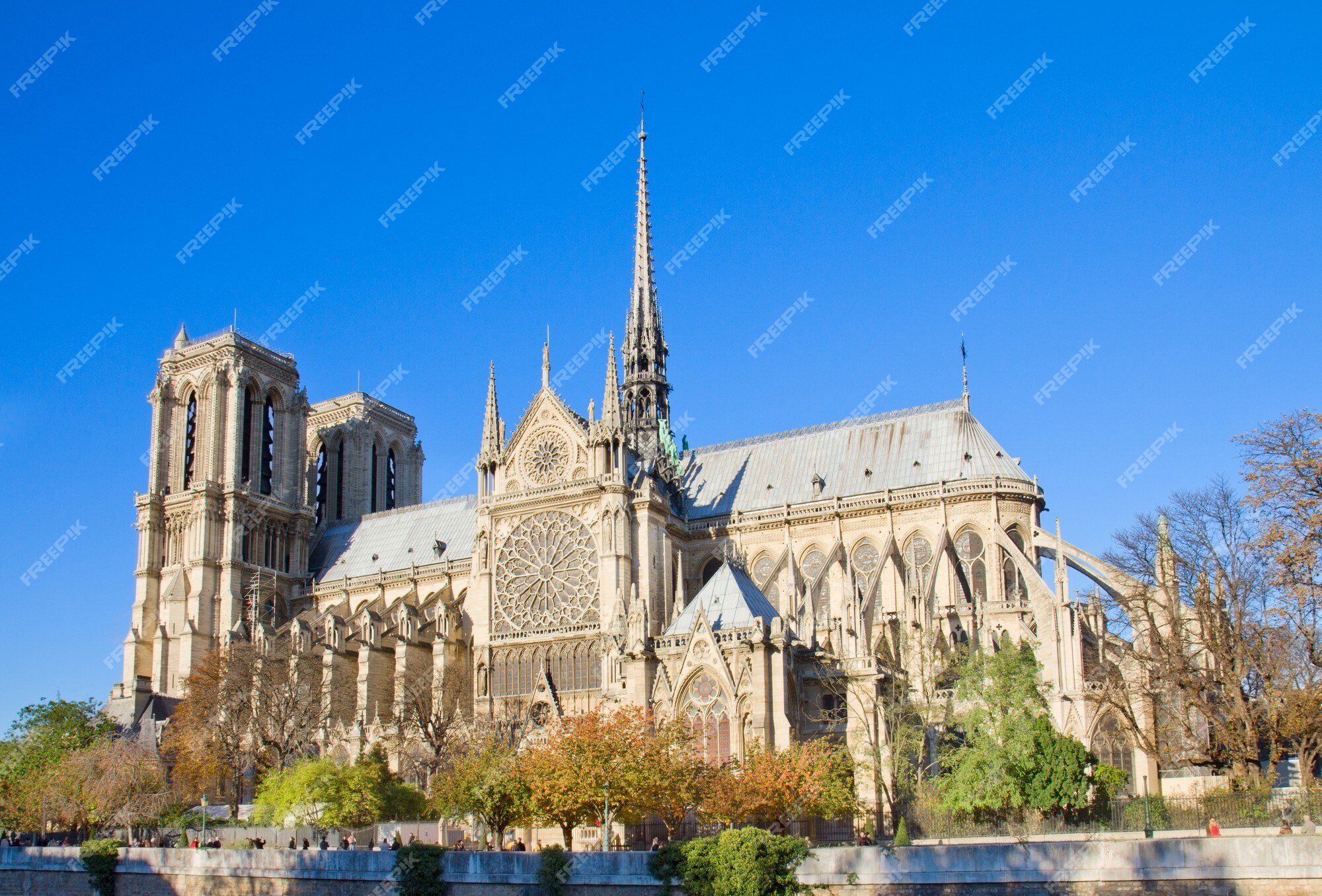 La iglesia de la catedral de notre dame, vista lateral, parís, francia | Foto Premium La iglesia de la catedral de notre dame, vista lateral, parís, francia | Foto Premium