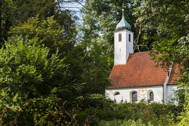 Iglesia escondida entre los árboles de un bosque.