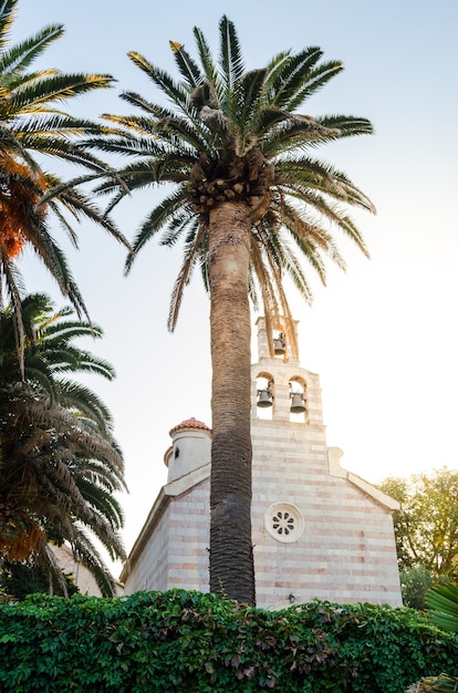 Iglesia vieja en el fondo de palmeras con una torre y campanario en el casco antiguo.