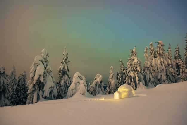 Iglu-Schnee in einem Bergwald. Nachtansicht mit schneebedeckten Tannen. Verträumte Winterszene