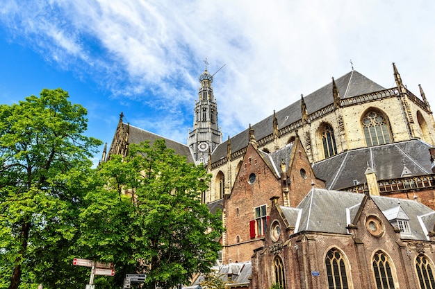 Igreja de Saint Bavo, na Holanda