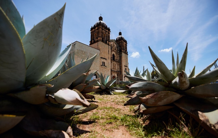 Foto igreja e convento de santo domingo de guzman e plantas de agave em oaxaca, méxico.