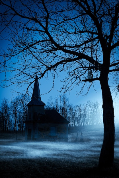 Foto igreja em silhueta e árvores nuas contra o céu ao anoitecer