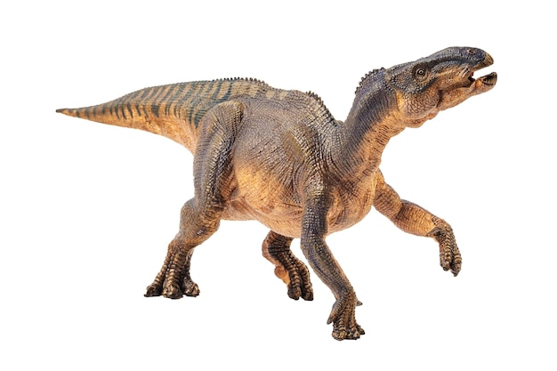 Iguanodon-Dinosaurier auf weißem Hintergrund
