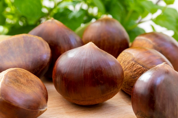 Iguarias de outono, castanhas na frente de fundo branco