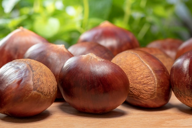 Iguarias de outono, castanhas na frente de fundo branco