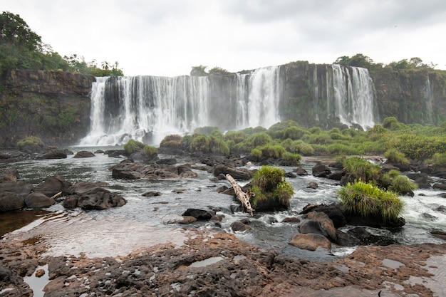 Iguazu Falls und Regenwald mit einer Kaskade