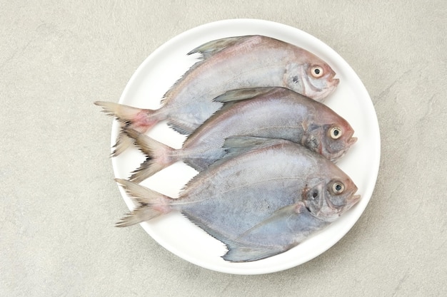 Ikan Dorang oder Ikan Bawal Putih Zubereitung von Speisen