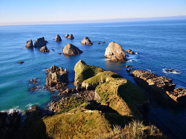 Ikonischer Nugget Point, Wahrzeichen der Küste von Otago, Neuseeland