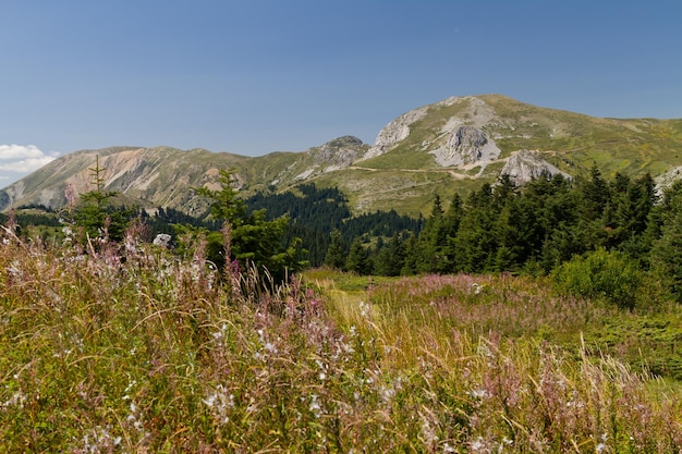 Ilgaz-Gebirge Kastamonu Türkei